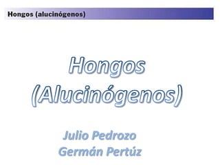 Hongos (Alucinógenos) Julio Pedrozo Germán Pertúz 