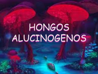 HONGOS
ALUCINOGENOS
 