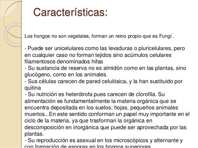 Las enfermedades de las uñas y como curar