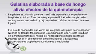 • La gelatina es quizás la parte del menú más esperada por los pacientes en
hospitales y clínicas. Es el bocado que puede diluir el sabor simple de las
sopas y carnes que, a diario y bajo supervisión médica, se ofrecen en estos
lugares.
• Fue esta la oportunidad que vieron los integrantes del grupo de investigación
Química de Hongos Macromicetos Colombianos de la U.N., para introducir
en la matriz alimenticia el micelio del hongo japonés shiitake (Lentinula
edodes) con el fin de ofrecer un alimento funcional y atractivo que
aprovechara sus propiedades nutricionales y medicinales
 