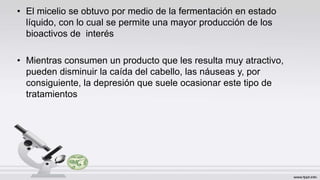 • El micelio se obtuvo por medio de la fermentación en estado
líquido, con lo cual se permite una mayor producción de los
bioactivos de interés
• Mientras consumen un producto que les resulta muy atractivo,
pueden disminuir la caída del cabello, las náuseas y, por
consiguiente, la depresión que suele ocasionar este tipo de
tratamientos
 