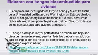 • El equipo de las investigadoras Birgitte Ahring y Malavika Sinha,
de la Universidad del Estado de Washington en Estados Unidos,
utilizó el hongo Aspergillus carbonarius ITEM 5010 para crear
hidrocarburos, el componente principal del petróleo, como lo son
de los combustibles para aviones a reacción.
• "El hongo produjo la mayor parte de los hidrocarburos bajo una
dieta de harina de avena, pero también los creó alimentado con
paja de trigo o con los restos no comestibles de la producción de
cereales", expresó Ahring.
• http://www.jornada.unam.mx/ultimas/2015/08/15/elaboran-con-
hongos-biocombustible-para-aviones-4671.html
 