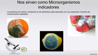 Nos sirven como Microorganismos
indicadores
La presencia de mohos y levaduras en los alimentos suele asociarse con una exposición a fuentes de
contaminantes objetables
 