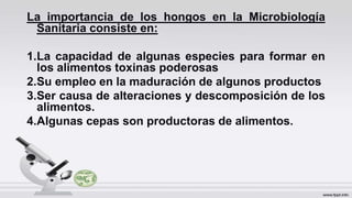 La importancia de los hongos en la Microbiología
Sanitaria consiste en:
1.La capacidad de algunas especies para formar en
los alimentos toxinas poderosas
2.Su empleo en la maduración de algunos productos
3.Ser causa de alteraciones y descomposición de los
alimentos.
4.Algunas cepas son productoras de alimentos.
 