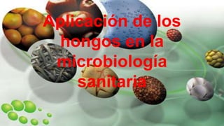 Aplicación de los
hongos en la
microbiología
sanitaria
 