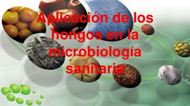 Microbiologia sanitaria