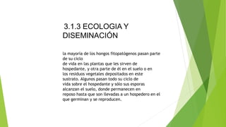 la mayoría de los hongos fitopatógenos pasan parte
de su ciclo
de vida en las plantas que les sirven de
hospedante, y otra parte de él en el suelo o en
los residuos vegetales depositados en este
sustrato. Algunos pasan todo su ciclo de
vida sobre el hospedante y sólo sus esporas
alcanzan el suelo, donde permanecen en
reposo hasta que son llevadas a un hospedero en el
que germinan y se reproducen.
3.1.3 ECOLOGIA Y
DISEMINACIÓN
 