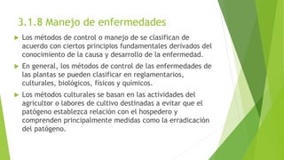 3.1.8 Manejo de enfermedades
 Los métodos de control o manejo de se clasifican de
acuerdo con ciertos principios fundamentales derivados del
conocimiento de la causa y desarrollo de la enfermedad.
 En general, los métodos de control de las enfermedades de
las plantas se pueden clasificar en reglamentarios,
culturales, biológicos, físicos y químicos.
 Los métodos culturales se basan en las actividades del
agricultor o labores de cultivo destinadas a evitar que el
patógeno establezca relación con el hospedero y
comprenden principalmente medidas como la erradicación
del patógeno.
 