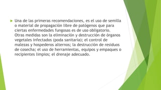  Una de las primeras recomendaciones, es el uso de semilla
o material de propagación libre de patógenos que para
ciertas enfermedades fungosas es de uso obligatorio.
Otras medidas son la eliminación y destrucción de órganos
vegetales infectados (poda sanitaria); el control de
malezas y hospederos alternos; la destrucción de residuos
de cosecha; el uso de herramientas, equipos y empaques o
recipientes limpios; el drenaje adecuado.
 