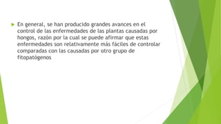  En general, se han producido grandes avances en el
control de las enfermedades de las plantas causadas por
hongos, razón por la cual se puede afirmar que estas
enfermedades son relativamente más fáciles de controlar
comparadas con las causadas por otro grupo de
fitopatógenos
 
