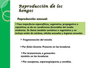 Reproducción de los
   hongos

 Reproducción asexual:
Fase imperfecta esporofitica, vegetativa, propagativa o
repetitiva; se da en condiciones favorables del medio
ambiente. Se llama también somática o vegetativa y no
incluye unión de núcleos, células sexuales y órganos sexuales

     Fragmentación del micelio

    Por fisión binaria: Presente en las levaduras

     Por brotamiento o gemación:
     también en las levaduras

     Por zoosporas, esporangiosporas y conidias.
 