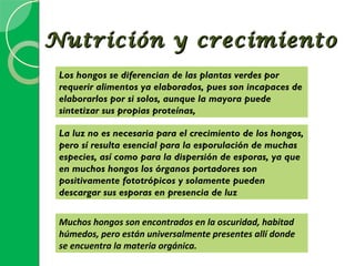 Nutrición y crecimiento
 Los hongos se diferencian de las plantas verdes por
 requerir alimentos ya elaborados, pues son incapaces de
 elaborarlos por si solos, aunque la mayora puede
 sintetizar sus propias proteínas,

 La luz no es necesaria para el crecimiento de los hongos,
 pero sí resulta esencial para la esporulación de muchas
 especies, así como para la dispersión de esporas, ya que
 en muchos hongos los órganos portadores son
 positivamente fototrópicos y solamente pueden
 descargar sus esporas en presencia de luz


 Muchos hongos son encontrados en la oscuridad, habitad
 húmedos, pero están universalmente presentes allí donde
 se encuentra la materia orgánica.
 