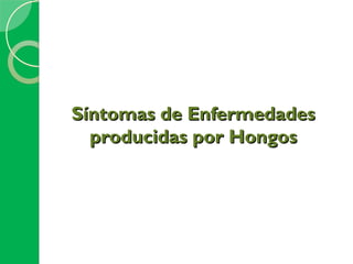 Síntomas de Enfermedades
  producidas por Hongos
 
