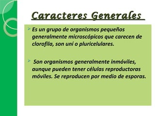 Caracteres Generales
 Es un grupo de organismos pequeños
    generalmente microscópicos que carecen de
    clorofila, son uní o pluricelulares.

   Son organismos generalmente inmóviles,
    aunque pueden tener células reproductoras
    móviles. Se reproducen por medio de esporas.
 