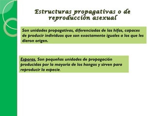 Estructuras propagativas o de
           reproducción asexual

Son unidades propagativas, diferenciadas de las hifas, capaces
de producir individuos que son exactamente iguales a los que les
dieron origen.



Esporas. Son pequeñas unidades de propagación
producidas por la mayoría de los hongos y sirven para
reproducir la especie.
 