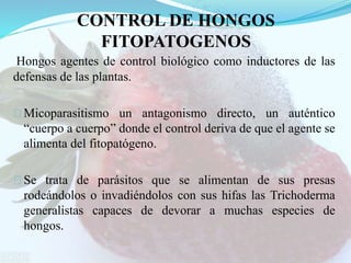 CONTROL DE HONGOS
FITOPATOGENOS
Hongos agentes de control biológico como inductores de las
defensas de las plantas.
Micoparasitismo un antagonismo directo, un auténtico
“cuerpo a cuerpo” donde el control deriva de que el agente se
alimenta del fitopatógeno.
Se trata de parásitos que se alimentan de sus presas
rodeándolos o invadiéndolos con sus hifas las Trichoderma
generalistas capaces de devorar a muchas especies de
hongos.
 