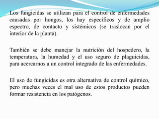 Los fungicidas se utilizan para el control de enfermedades
causadas por hongos, los hay específicos y de amplio
espectro, de contacto y sistémicos (se traslocan por el
interior de la planta).
También se debe manejar la nutrición del hospedero, la
temperatura, la humedad y el uso seguro de plaguicidas,
para acercarnos a un control integrado de las enfermedades.
El uso de fungicidas es otra alternativa de control químico,
pero muchas veces el mal uso de estos productos pueden
formar resistencia en los patógenos.
 