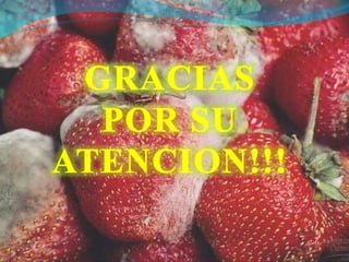 Hongos fitopatogenos presen