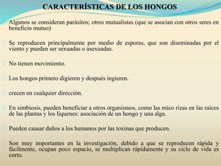 CARACTERÍSTICAS DE LOS HONGOS
Algunos se consideran parásitos; otros mutualistas (que se asocian con otros seres en
beneficio mutuo)
Se reproducen principalmente por medio de esporas, que son diseminadas por el
viento y pueden ser sexuadas o asexuadas.
No tienen movimiento.
Los hongos primero digieren y después ingieren.
crecen en cualquier dirección.
En simbiosis, pueden beneficiar a otros organismos, como las mico rizas en las raíces
de las plantas y los líquenes: asociación de un hongo y una alga.
Pueden causar daños a los humanos por las toxinas que producen.
Son muy importantes en la investigación, debido a que se reproducen rápida y
fácilmente, ocupan poco espacio, se multiplican rápidamente y su ciclo de vida es
corto.
 