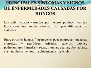 PRINCIPALES SÍNTOMAS Y SIGNOS
DE ENFERMEDADES CAUSADAS POR
HONGOS
Las enfermedades causadas por hongos producen en sus
hospederos una amplia variedad de tipos diferentes de
síntomas.
Entre otros los hongos fitopatógenos pueden producir manchas
cloróticas y necróticas, cribados, cancros, tizónes,
podredumbres húmedas o secas, momias, agallas, abolladuras,
costras, ahogamientos, marchitamientos y pústulas.
 