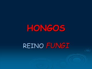 HONGOS
REINO FUNGI
 
