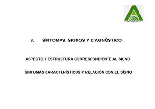 3. SÍNTOMAS, SIGNOS Y DIAGNÓSTICO
ASPECTO Y ESTRUCTURA CORRESPONDIENTE AL SIGNO
SINTOMAS CARACTERÍSTICOS Y RELACIÓN CON EL SIGNO
 