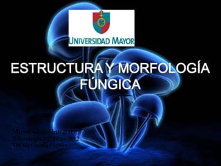 Microbiología integral
Tecnología Médica– 2012
TM Mg Claudia Castillo
 