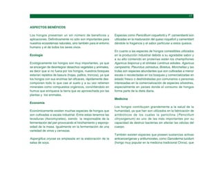 ASPECTOS BENÉFICOS
Los hongos presentan un sin número de beneficios y
aplicaciones. Definitivamente no sólo son importantes para
nuestros ecosistemas naturales, sino también para el entorno
humano y el de todos los seres vivos.
Ecología
Ecológicamente los hongos son muy importantes, ya que
se encargan de desintegrar desechos vegetales y animales,
es decir que si no fuera por los hongos, nuestros bosques
estarían repletos de basura (hojas, palitos, troncos), ya que
los hongos con sus enzimas tan eficaces, rápidamente des-
componen todo lo que cae al suelo y a su vez retienen
minerales como compuestos orgánicos, convirtiéndolo en
humus que enriquece la tierra que es aprovechada por las
plantas y los animales.
Economía
Económicamente existen muchas especies de hongos que
son cultivadas a escala industrial. Entre estas tenemos las
levaduras (Ascomycetes), siendo la responsable de la
fermentación del pan provocando el hinchamiento y esponjo-
sidad de la masa. Igualmente en la fermentación de una
variedad de vinos y cervezas.
Aspergillus oryzae es empleada en la elaboración de la
salsa de soya.
Especies como Penicillium roquefortii y P. camembertii son
utilizadas en la maduración del queso roquefort y camembert
dándole la fragancia y el sabor particular a estos quesos.
En cuanto a las especies de hongos comestibles utilizados
en la producción industrial debido a su agradable sabor y
a su alto contenido en proteínas están los champiñones
Agaricus bisporus y el shiitake Lentinus edodes. Agaricus
campestris; Pleurotus ostreatus, Boletus, Morchellas y las
trufas son especies abundantes que son cultivadas a menor
escala o recolectadas en los bosques y comercializadas en
estado fresco o deshidratadas por comunarios o personas
interesadas en la comercialización de especies silvestres,
especialmente en países donde el consumo de hongos
forma parte de la dieta diaria.
Medicina
Los hongos contribuyen grandemente a la salud de la
humanidad, ya que han son utilizados en la fabricación de
antibióticos de los cuales la penicilina (Penicillum
chrysogenum) es uno de las más importantes por su
capacidad de destruir bacterias sin afectar las células del
cuerpo.
También existen especies que poseen sustancias activas
anticancerígenas y antitumorales, como Ganoderma lucidum
(hongo muy popular en la medicina tradicional China), que
 