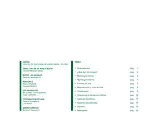 •
•
•
•
•
•
•
•
•
•
•
•
EDITOR
CENTRO DE ECOLOGÍA DIFUSIÓN SIMÓN I. PATIÑO
DIRECTORA DE LA PUBLICACIÓN
Carmiña Montoya Köster
AUTOR LOS HONGOS
Diana M. Rocabado R.
ASESORES
Steven Churchill
Oswaldo Maillard
COLABORACIÓN
Ma. Cristina Torrico Laserna
Hugo Leschinski
FOTOGRAFÍA PORTADA
Género Dyctiophora
Luis Acosta
DISEÑO GRÁFICO
Sandra P. Heredia A.
Antecedentes
¿Qué son los hongos?
Morfología interna
Morfología externa
Formas de vida
Reproducción y ciclo de vida
Clasificación
Diversidad de hongos en Bolivia
Aspectos benéficos
Aspectos perjudiciales
Glosario
Bibliografía
ÍNDICE
pág.
pág.
pág.
pág.
pág.
pág.
pág.
pág.
pág.
pág.
pág.
pág.
1
2
2
4
5
8
9
13
17
18
19
20
 