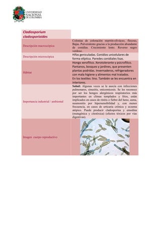 Cladiosporium
cladosporioides
Descripción macroscópica
Colonias de coloración marrón-oliváceo, flocoso,
Bajas. Pulverulento gracias a la producción abundante
de conidias. Crecimiento lento. Reverso negro
verdoso.
Descripción microscópica
Hifas geniculadas. Conidios unicelulares de
forma elíptica. Paredes conidiales lisas.
Hábitat
Hongo xerofìlico. Xerotolerante y psicrofìlico.
Pantanos, bosques y jardines, que presenten
plantas podridas. Invernaderos, refrigeradores
con mala higiene y alimentos mal tratados.
En los textiles: lino. También se les encuentra en
interiores.
Importancia industrial / ambiental
Salud: Algunas veces se le asocia con infecciones
pulmonares, sinusitis, onicomicosis. Se les reconoce
por ser los hongos alergénicos respiratorios más
importantes en climas templados y fríos, están
implicados en casos de rinitis o fiebre del heno, asma,
neumonitis por hipersensibilidad y, con menor
frecuencia, en casos de urticaria crónica y eczema
atópico. Puede producir cladosporina y emodina
(mutagénica y citotóxica) (efectos tóxicos por vías
digestivas).
Imagen cuerpo reproductivo
 