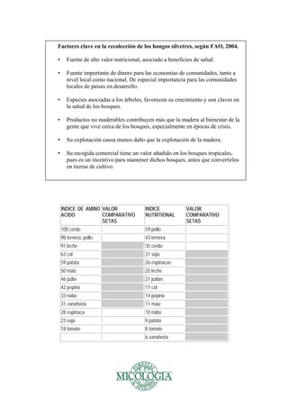 Tablas de Pino - Miceli Maderas