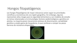 Hongos fitopatógenos
Los hongos fitopatógenos de mayor relevancia varían según las prioridades
científicas y económicas de una región geográfica. Sin embargo, algunos
representan altos riesgos para la seguridad alimentaria y son modelos de estudio
en temas relacionados a la inmunología, factores epidemiológicos y genética en
plantas. La mayoría posee mecanismos exitosos de diseminación, variabilidad
genética y amplia gama de hospederos, lo que conllevan a romper las pocas
barreras de resistencia disponibles.
 