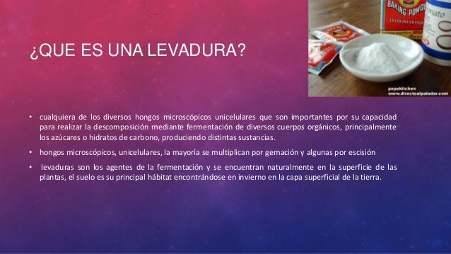 El curso del tratamiento del hongo las uñas