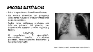 MICOSIS SISTÉMICAS
• Estos hongos tienen dimorfismo térmico
• Las micosis sistémicas son patógenos
verdaderos y pueden producir infecciones
en personas sanas.
• Todos estos patógenos producen una
infección primaria del pulmón, con
diseminación posterior a otros órganos y
tejidos.
• EJEMPLOS:
H. capsulatum , B. dermatitidis,
Coccidioides immitis, Coccidioides
posadasii, Faracoccidioides brasiliensis y
Fenicilliummarneffei.
Murray, P. Rosenthal, K. Pfaller, M. Microbiología Médica, 7a ed. ELSEVIER.2014
 