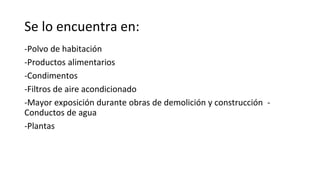 Se lo encuentra en:
-Polvo de habitación
-Productos alimentarios
-Condimentos
-Filtros de aire acondicionado
-Mayor exposición durante obras de demolición y construcción -
Conductos de agua
-Plantas
 