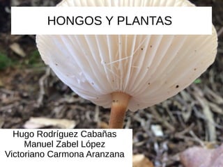 HONGOS Y PLANTAS
Hugo Rodríguez Cabañas
Manuel Zabel López
Victoriano Carmona Aranzana
 