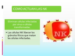 Factor de virulencia Toda característica de un hongo que le permita causar daño al hospedero:Adherencia  colonización en los tejidos Toxinas  producen hipersensibilidad Enzimas  ayudan a la  penetración del hongo en los tejidos Melanina Protege contra los oxidantes producidos por los neutrofilos FibronectinaTrombinaLectinasFactor GReceptores de las células del hospedero son esencial para que el microorganismo se establezca en el organismo Proteasas ElastasasFosfolipasas Cryptococcusneoformans y los mohos negros