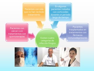 Hifas ramificadas, delgadas y largas