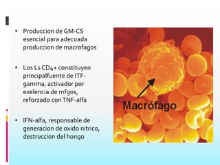 Contagio Inhalación de las artrosporasPresentación esporádica InhalaciónDeposición en el alveolo pulmonar (artrosporas)Ingestión por los macrófagos Resistencia Hidrata y aumenta de tamañosReplicación nuclear masiva Genera proteínas toxicas PatogeniaÓseoCutáneoSubcutáneoMeningeovía linfohemáticaExpandir infección Otros tejidos Si la inmunidad celular no es eficaz, la evolución es granulomatosa, más proliferativa en animales y más exudativa (sensibilidad de la piel) en humanos.Infección inicial puede que curse con ligeros síntomas gripales.Tosdisnea persistenteDebilidadDepresiónpérdida de pesoOsteomielitis Síntomas 