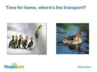 Time for home, where's the transport?
 