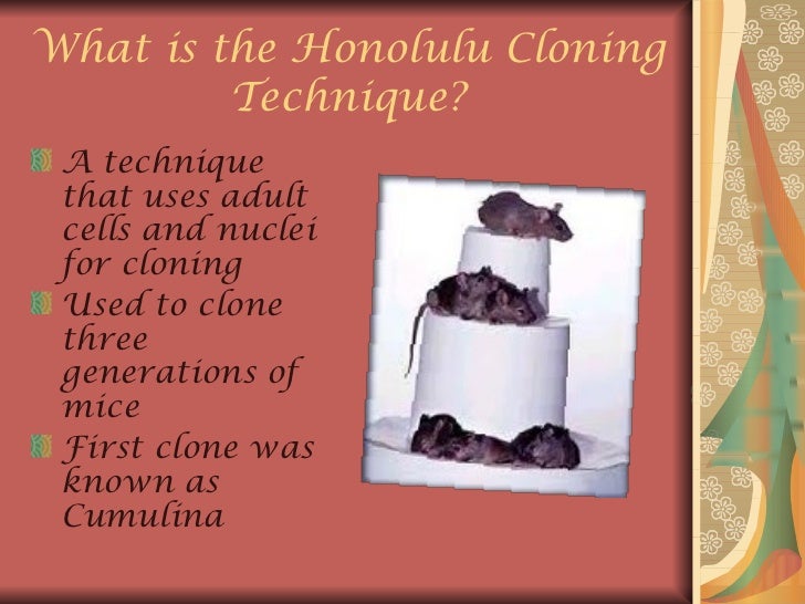Honolulu cloning technique