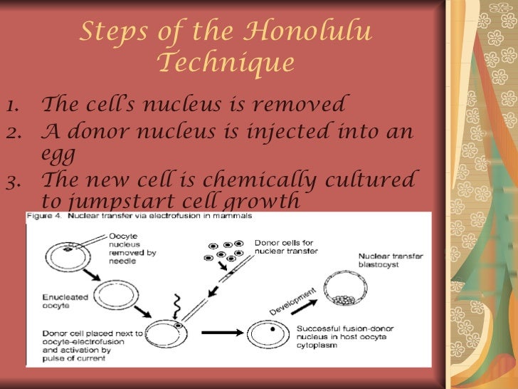 Honolulu cloning technique
