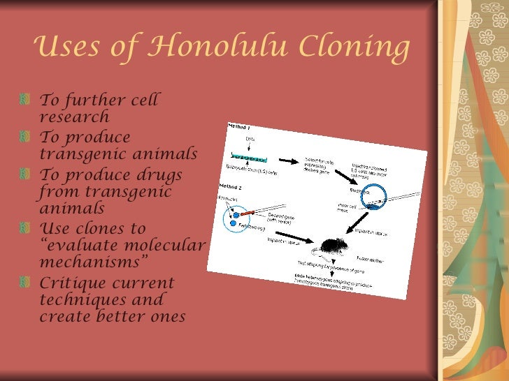 Honolulu cloning technique