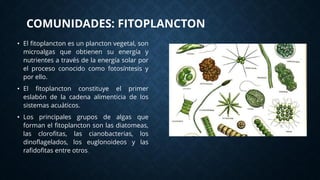 Comunidades: Plancton, fitoplancton, zooplancton | PDF