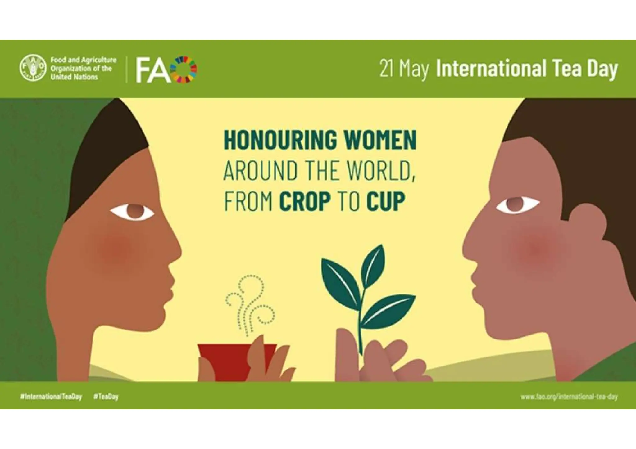 From crop to cup International Tea Day 2024. Food and Agricultural