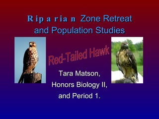 Riparian  Zone Retreat and Population Studies Tara Matson, Honors Biology II, and Period 1. Red-Tailed Hawk 