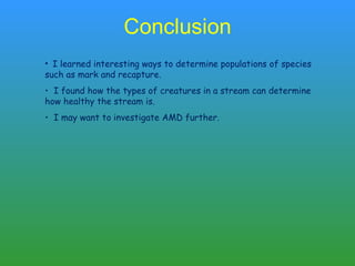 Conclusion I learned interesting ways to determine populations of species such as mark and recapture. I found how the types of creatures in a stream can determine how healthy the stream is. I may want to investigate AMD further. 