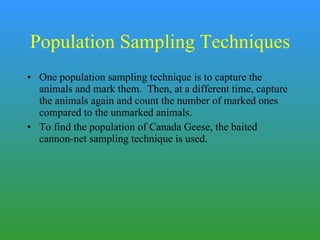 Population Sampling Techniques One population sampling technique is to capture the animals and mark them.  Then, at a different time, capture the animals again and count the number of marked ones compared to the unmarked animals. To find the population of Canada Geese, the baited cannon-net sampling technique is used. 