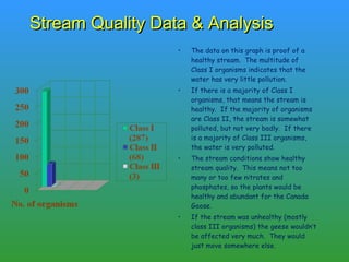 Stream Quality Data & Analysis The data on this graph is proof of a healthy stream.  The multitude of Class I organisms indicates that the water has very little pollution. If there is a majority of Class I organisms, that means the stream is healthy.  If the majority of organisms are Class II, the stream is somewhat polluted, but not very badly.  If there is a majority of Class III organisms, the water is very polluted. The stream conditions show healthy stream quality.  This means not too many or too few nitrates and phosphates, so the plants would be healthy and abundant for the Canada Goose. If the stream was unhealthy (mostly class III organisms) the geese wouldn’t be affected very much.  They would just move somewhere else. 
