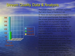 Stream Quality Data & Analysis This graph shows the different organisms that were found in Powdermill run. If there are more organisms in Class I that is very good because that means that the stream generally has good water quality. Class II organisms indicate that the organism are somewhat tolerant of water pollution which means that they can live in a range of water quality. Class II organisms found means that there is very poor water quality. Describe how the above stream conditions affects your researched organism. The stream conditions would affect the Golden Eagle because it needs to get water from a non polluted stream to stay alive. If the more of organisms are classified as Class III then the whole stream would eventually die, leaving no water for the Eagle, or any other organism, to get water from safely. 